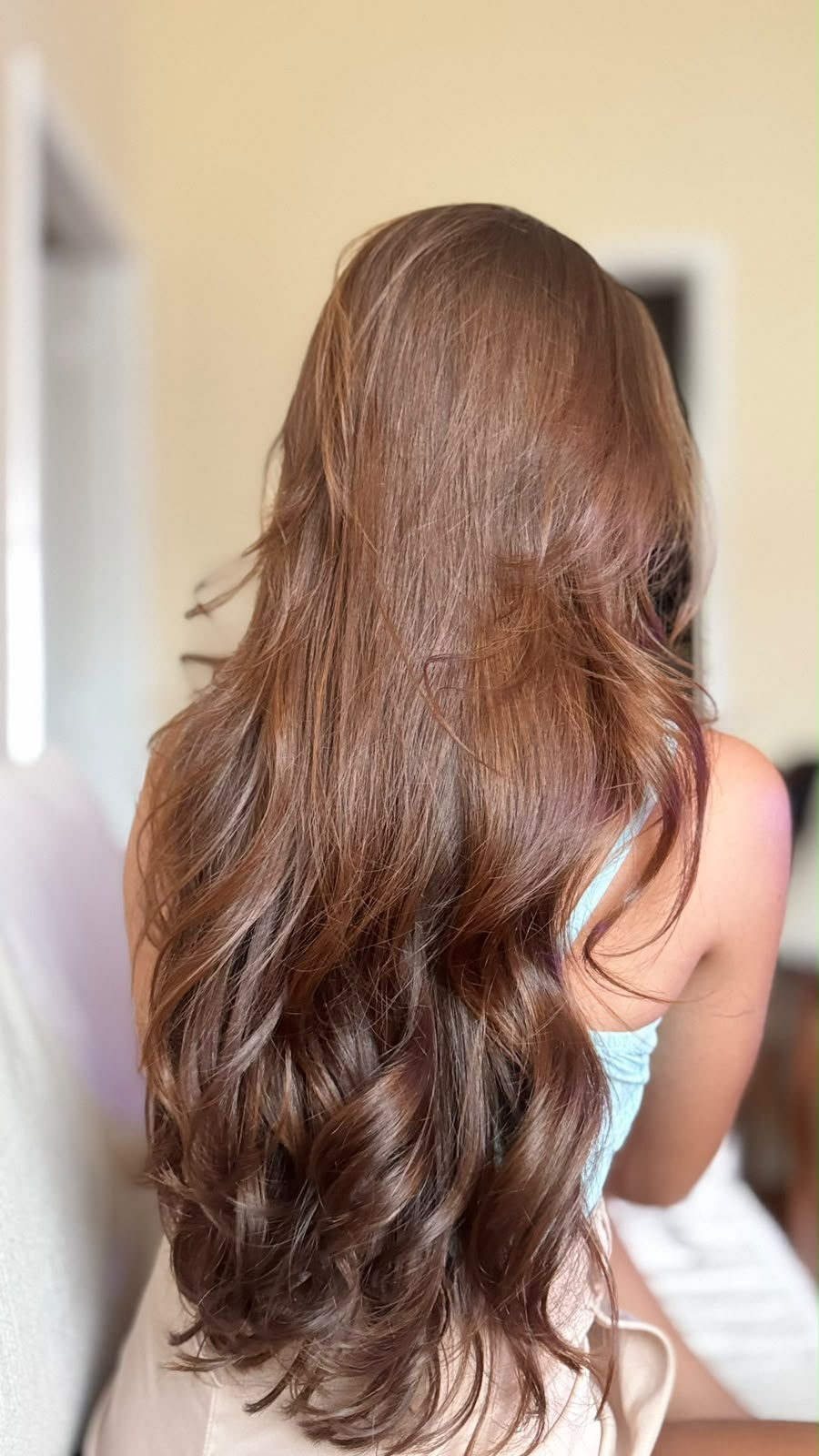 Corte